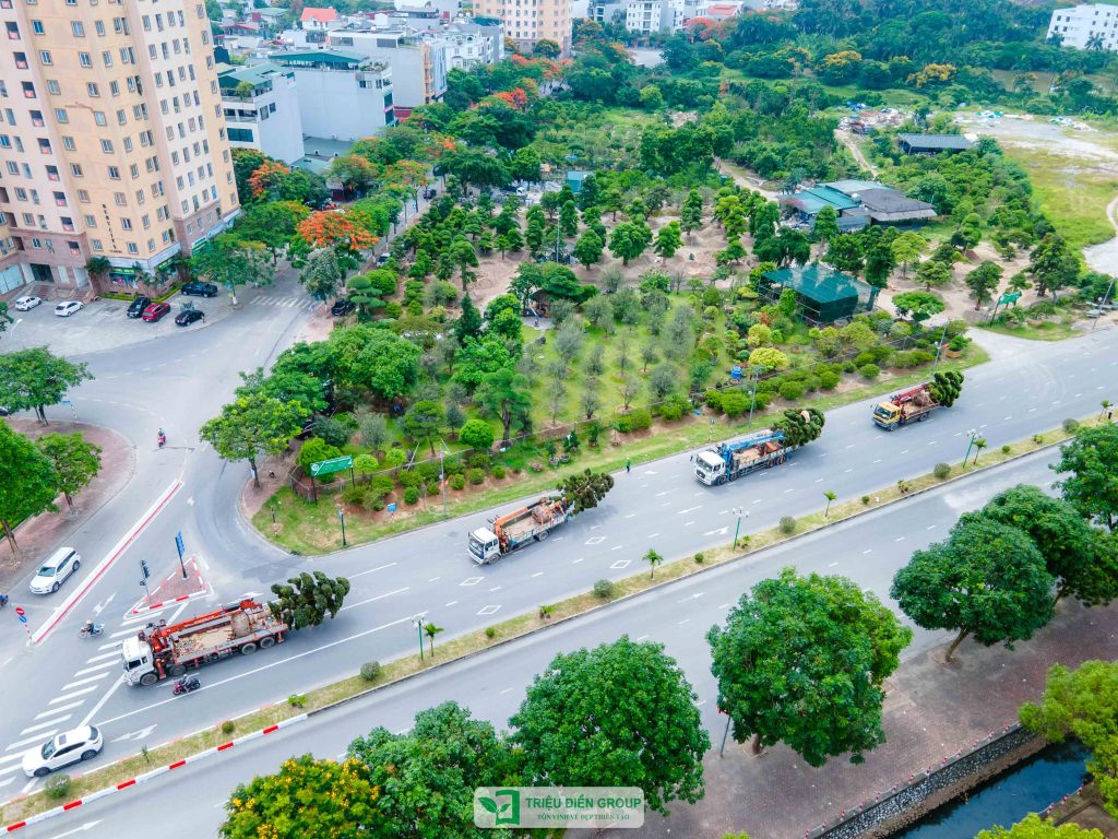 Thiết kế thi công sân vườn trọn gói tại hà nội