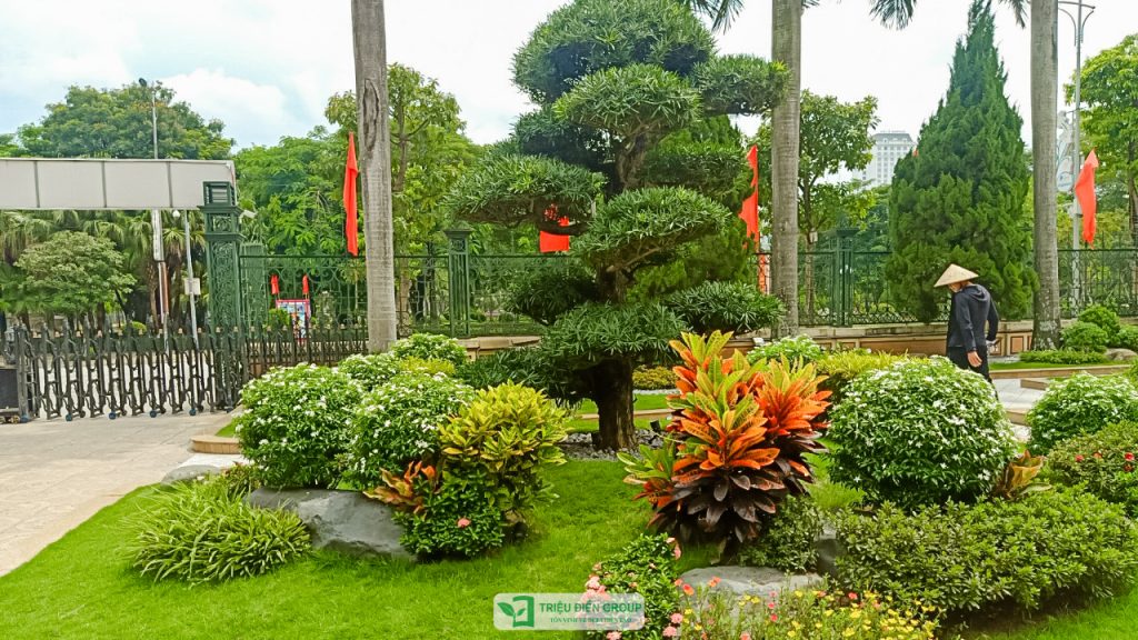 Thiết kế thi công sân vườn trọn gói tại hà nội
