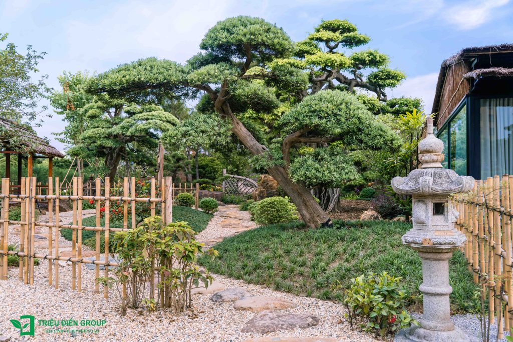 Thiết kế thi công sân vườn trọn gói tại hà nội
