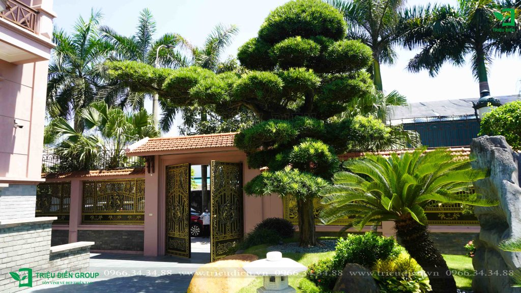 Thiết kế thi công sân vườn trọn gói tại hà nội