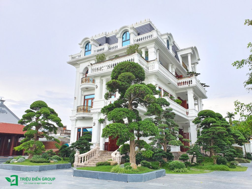 Thiết kế thi công sân vườn trọn gói tại hà nội