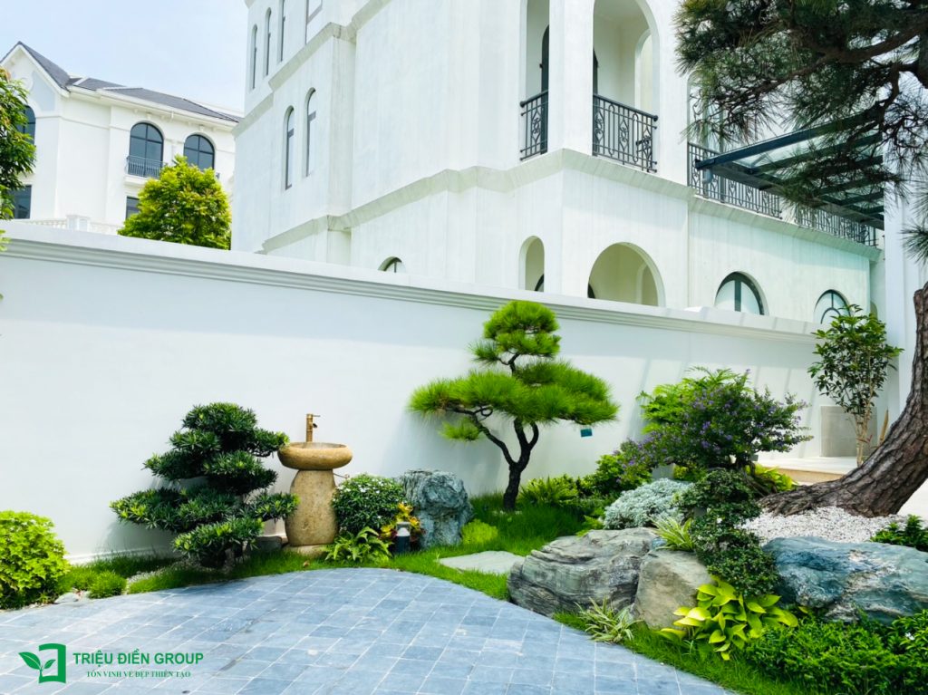 50+ Mẫu sân vườn biệt thự đẹp tại Vinhomes Ocean Park – Xu hướng cảnh quan cao cấp 2026 16 Thiết kế thi công sân vườn trọn gói tại hà nội