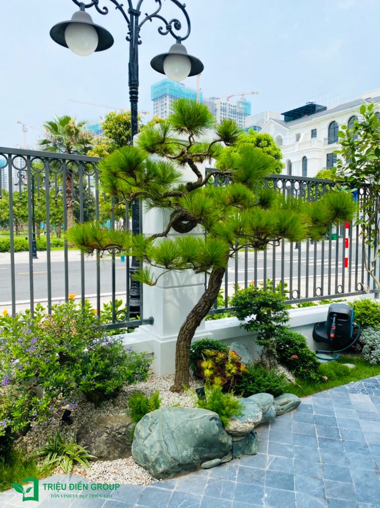 50+ Mẫu sân vườn biệt thự đẹp tại Vinhomes Ocean Park – Xu hướng cảnh quan cao cấp 2026 18 Thiết kế thi công sân vườn trọn gói tại hà nội