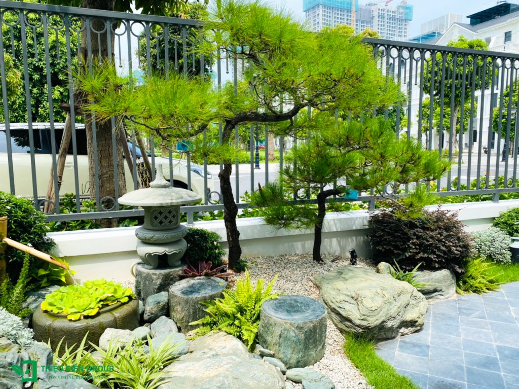 50+ Mẫu sân vườn biệt thự đẹp tại Vinhomes Ocean Park – Xu hướng cảnh quan cao cấp 2026 17 Thiết kế thi công sân vườn trọn gói tại hà nội