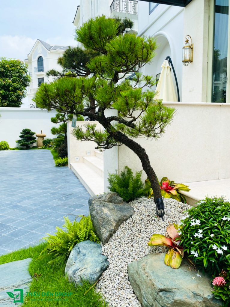 50+ Mẫu sân vườn biệt thự đẹp tại Vinhomes Ocean Park – Xu hướng cảnh quan cao cấp 2026 14 Thiết kế thi công sân vườn trọn gói tại hà nội