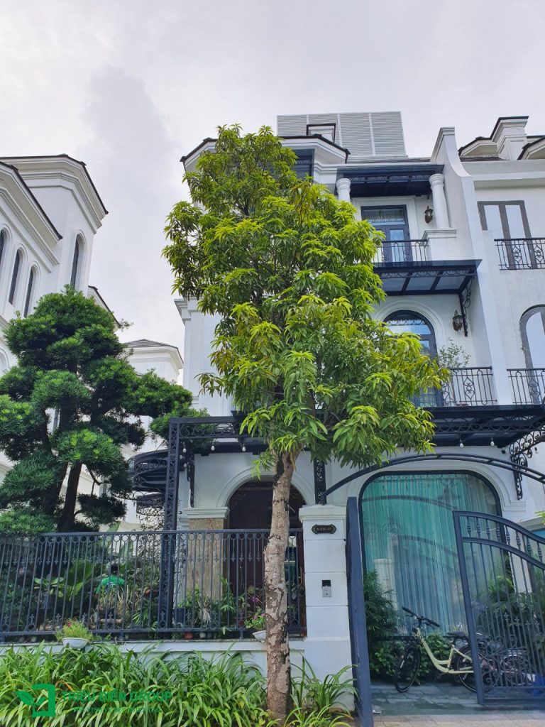 50+ Mẫu sân vườn biệt thự đẹp tại Vinhomes Ocean Park – Xu hướng cảnh quan cao cấp 2026 13 Thiết kế thi công sân vườn trọn gói tại hà nội