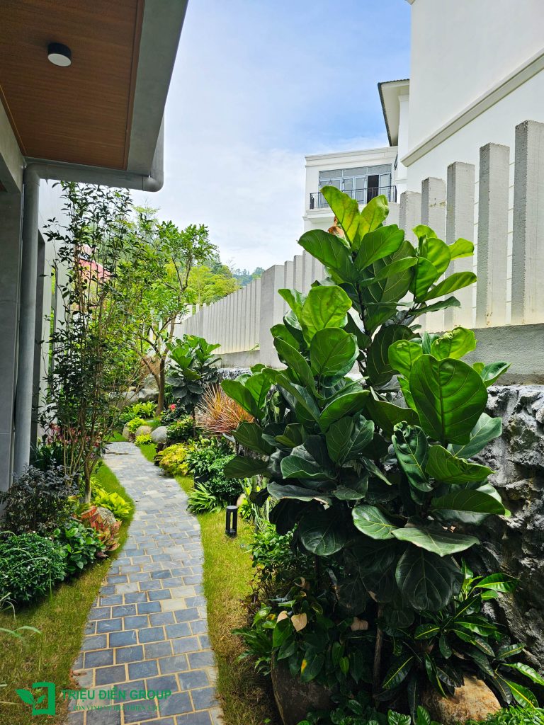 Mẫu thiết kế sân vườn biệt thự tại Xanh Villas – Phong cách resort nghỉ dưỡng cao cấp 58 Thiết kế thi công sân vườn trọn gói tại hà nội