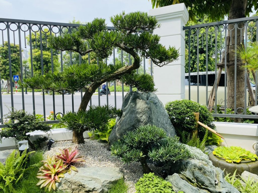 50+ Mẫu sân vườn biệt thự đẹp tại Vinhomes Ocean Park – Xu hướng cảnh quan cao cấp 2026 6 Thiết kế thi công sân vườn trọn gói tại hà nội