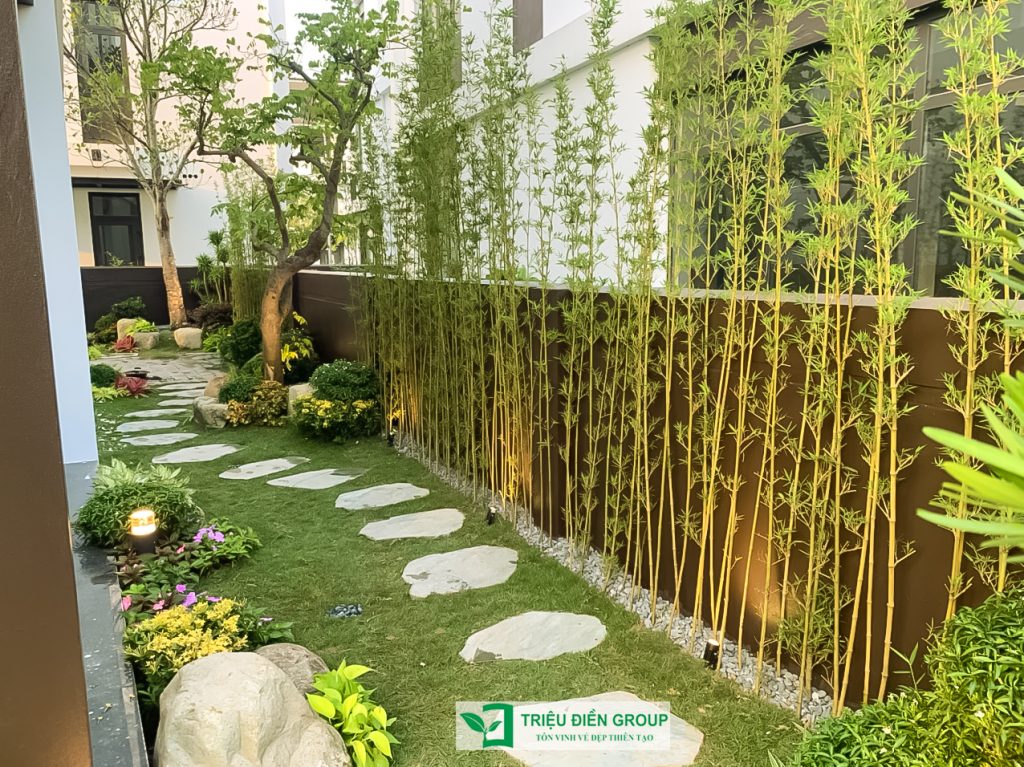 5 Loại cây nên trồng mùa hè cho sân vườn biệt thự giúp không gian xanh mát và giá trị hơn 12 Thiết kế thi công sân vườn trọn gói tại hà nội