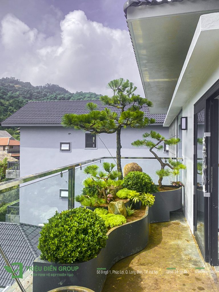 Thiết kế thi công sân vườn trọn gói tại hà nội