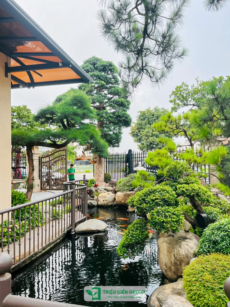 Tiểu cảnh sân vườn trước nhà đẹp – Giải pháp tạo điểm nhấn cho không gian sống 16 Thiết kế thi công sân vườn trọn gói tại hà nội