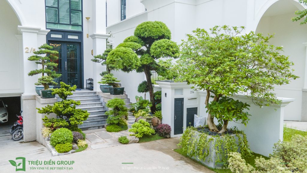 Tiểu cảnh sân vườn trước nhà đẹp – Giải pháp tạo điểm nhấn cho không gian sống 2 Thiết kế thi công sân vườn trọn gói tại hà nội