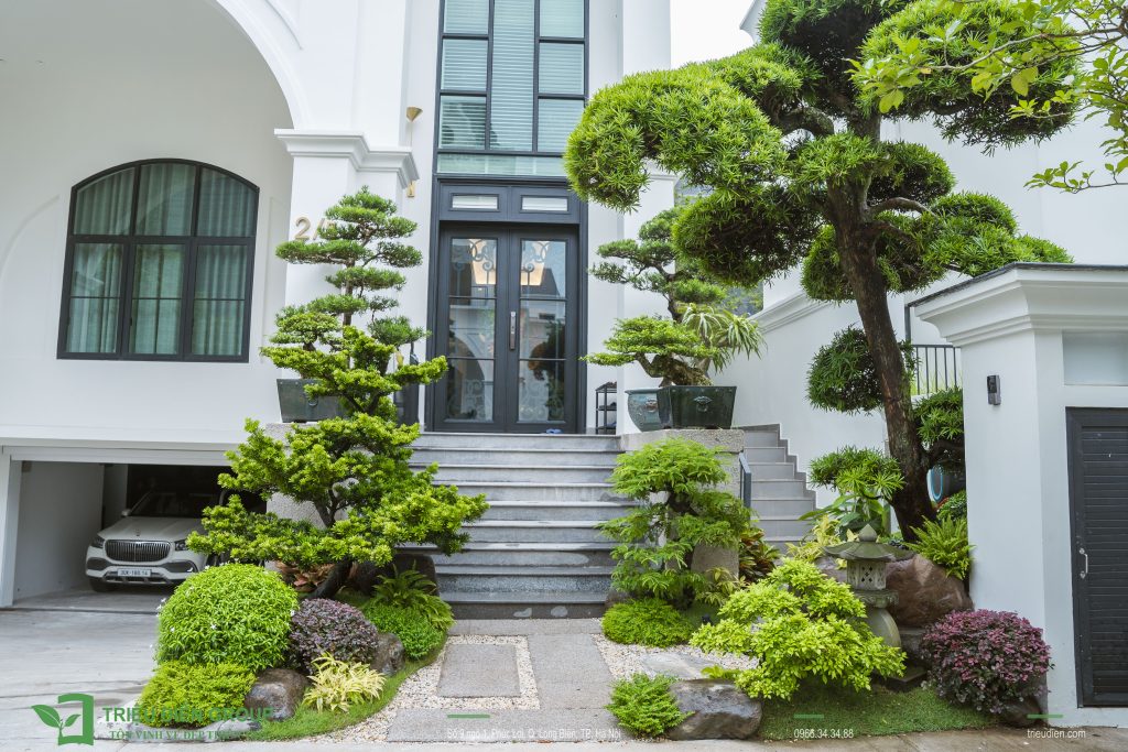 Tiểu cảnh sân vườn trước nhà đẹp – Giải pháp tạo điểm nhấn cho không gian sống 4 Thiết kế thi công sân vườn trọn gói tại hà nội