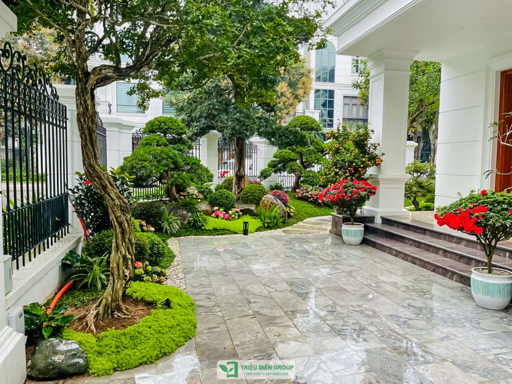 Tiểu cảnh sân vườn trước nhà đẹp – Giải pháp tạo điểm nhấn cho không gian sống 3 Thiết kế thi công sân vườn trọn gói tại hà nội