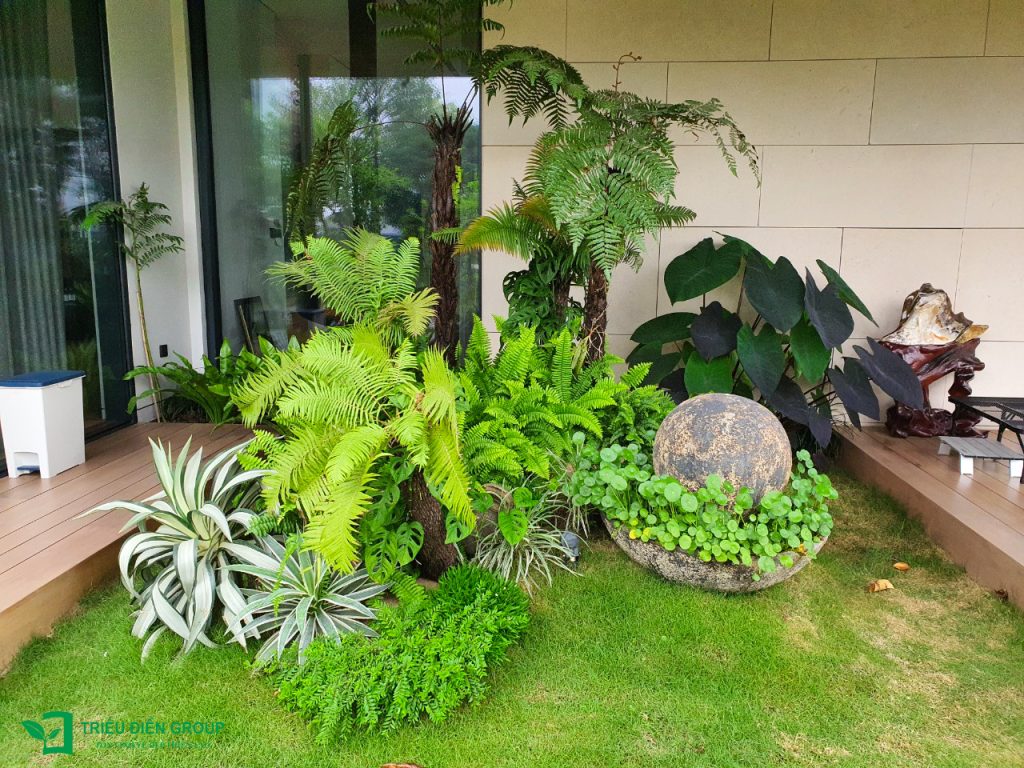 Báo giá cải tạo sân vườn: Những yếu tố quyết định chi phí và cách tối ưu ngân sách 11 Thiết kế thi công sân vườn trọn gói tại hà nội