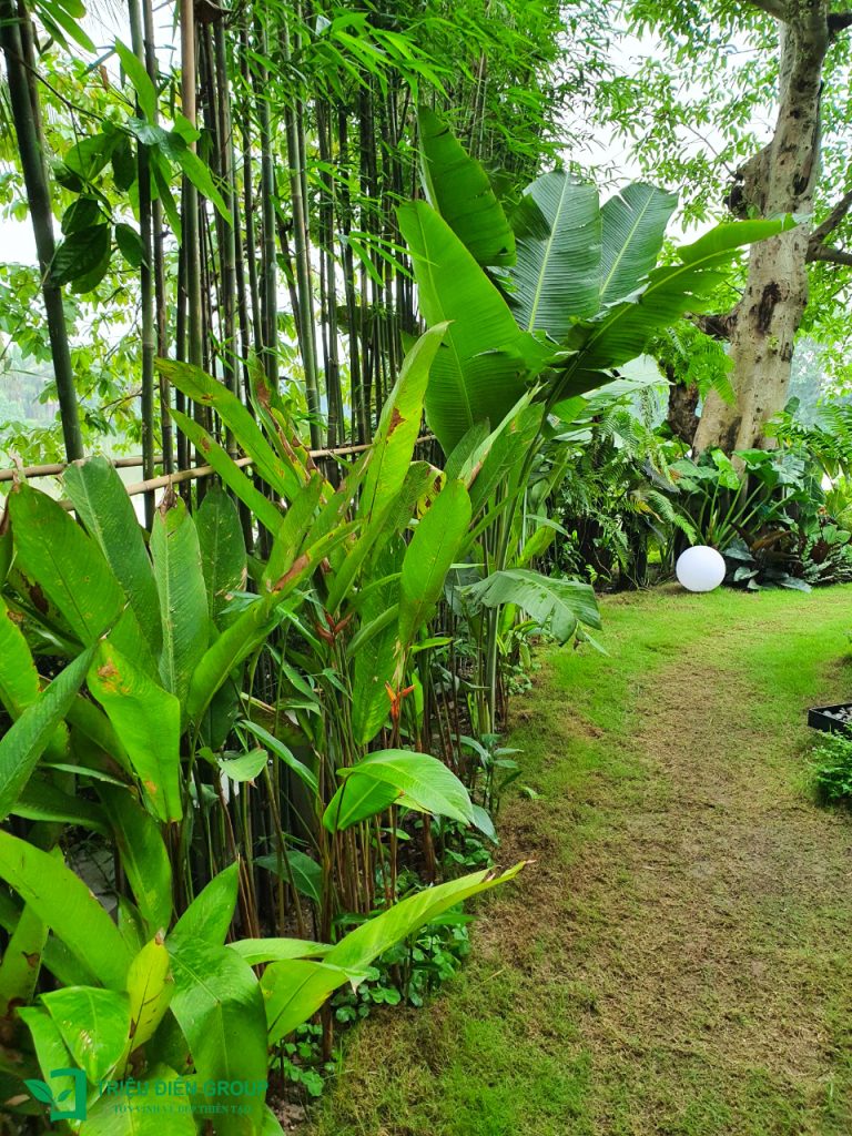Báo giá cải tạo sân vườn: Những yếu tố quyết định chi phí và cách tối ưu ngân sách 14 Thiết kế thi công sân vườn trọn gói tại hà nội