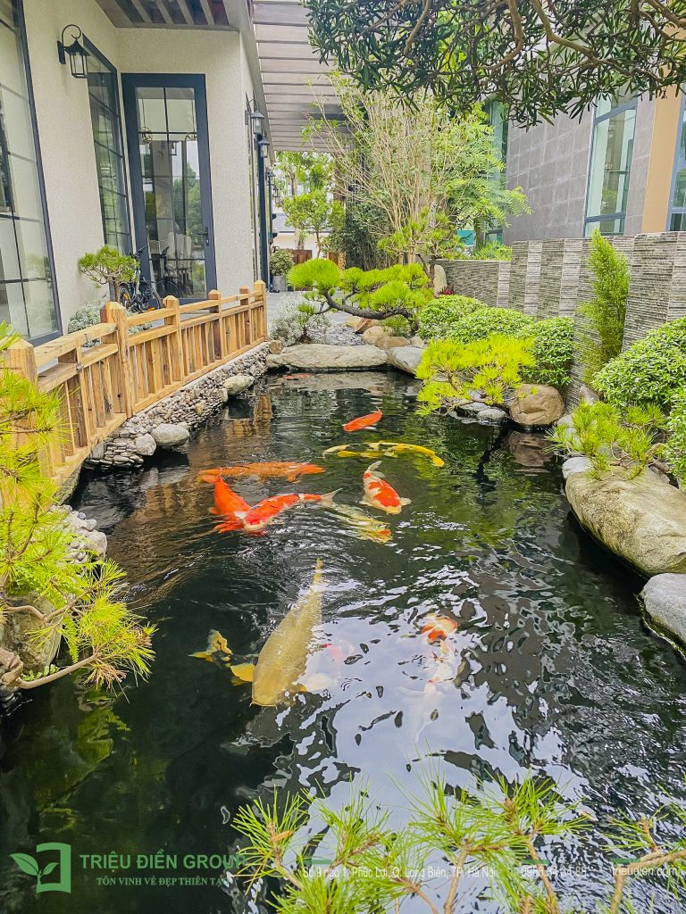 Thiết kế thi công sân vườn trọn gói tại hà nội