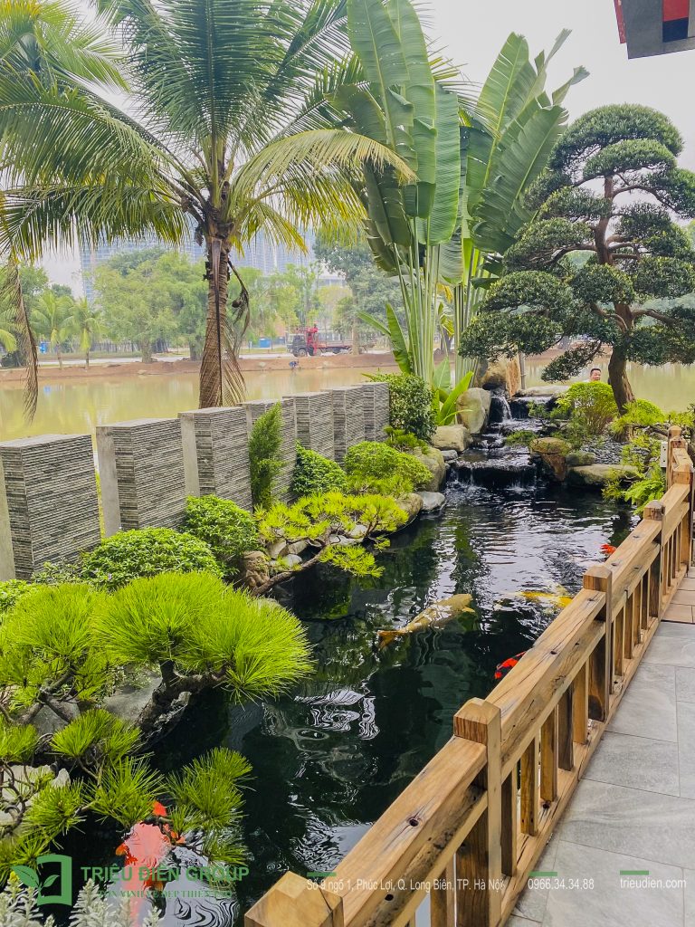Thiết kế thi công sân vườn trọn gói tại hà nội