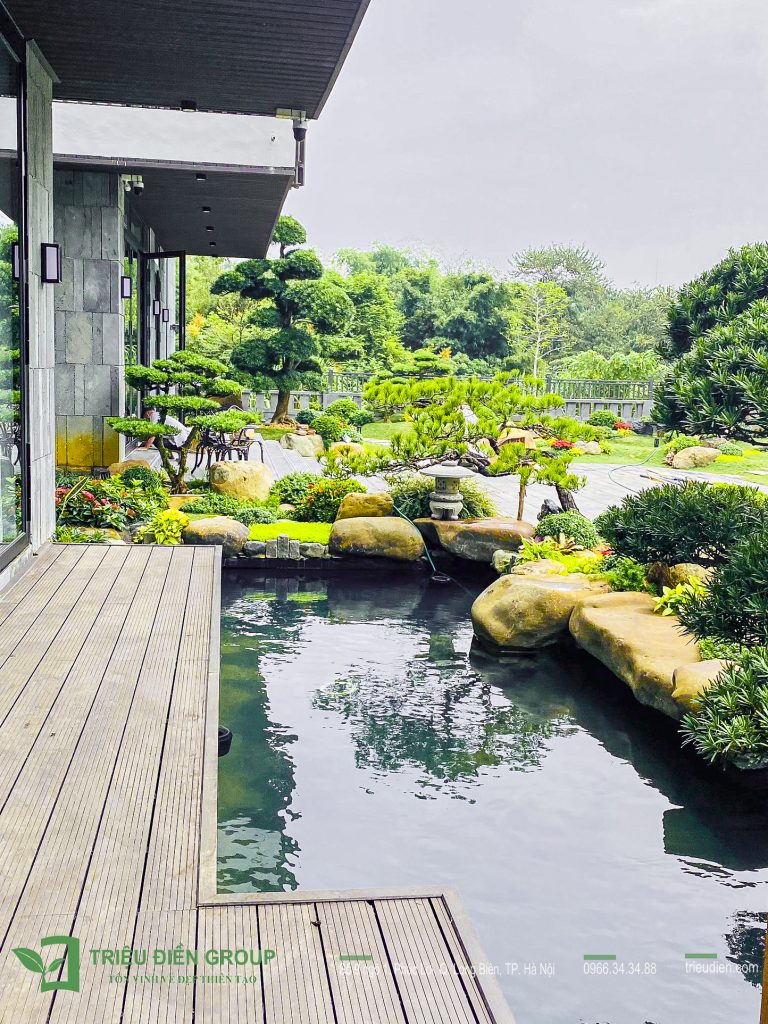 Tiểu cảnh sân vườn trước nhà đẹp – Giải pháp tạo điểm nhấn cho không gian sống 10 Thiết kế thi công sân vườn trọn gói tại hà nội