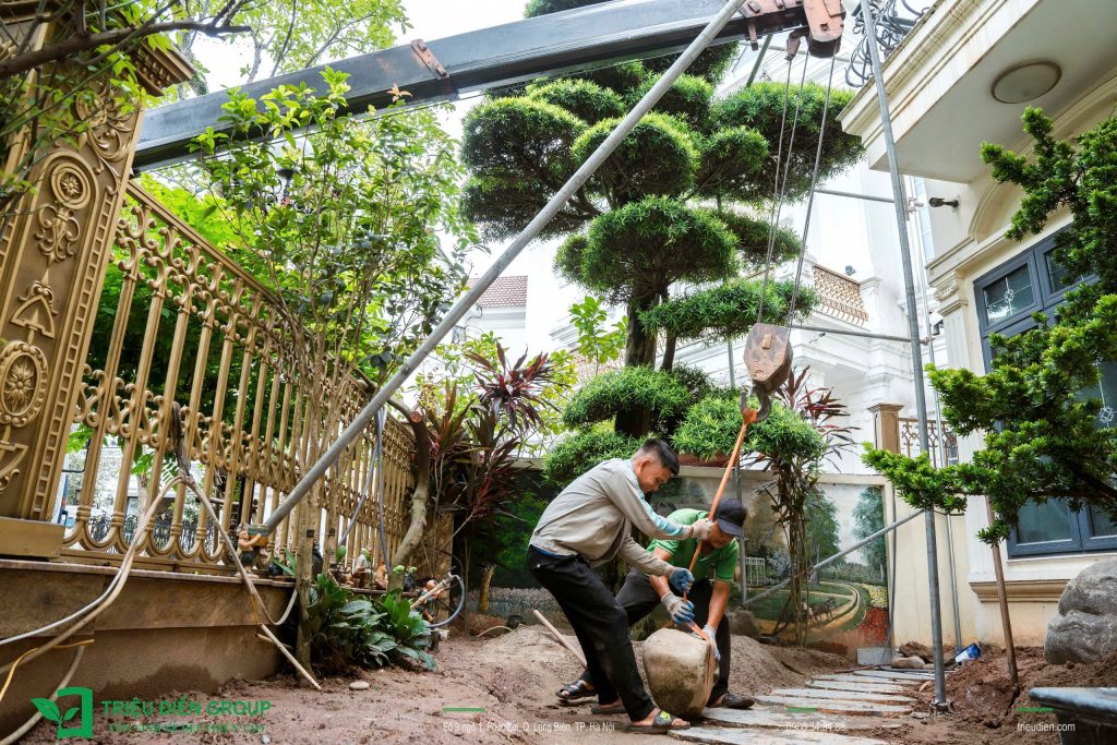 Báo giá cải tạo sân vườn: Những yếu tố quyết định chi phí và cách tối ưu ngân sách 5 Thiết kế thi công sân vườn trọn gói tại hà nội