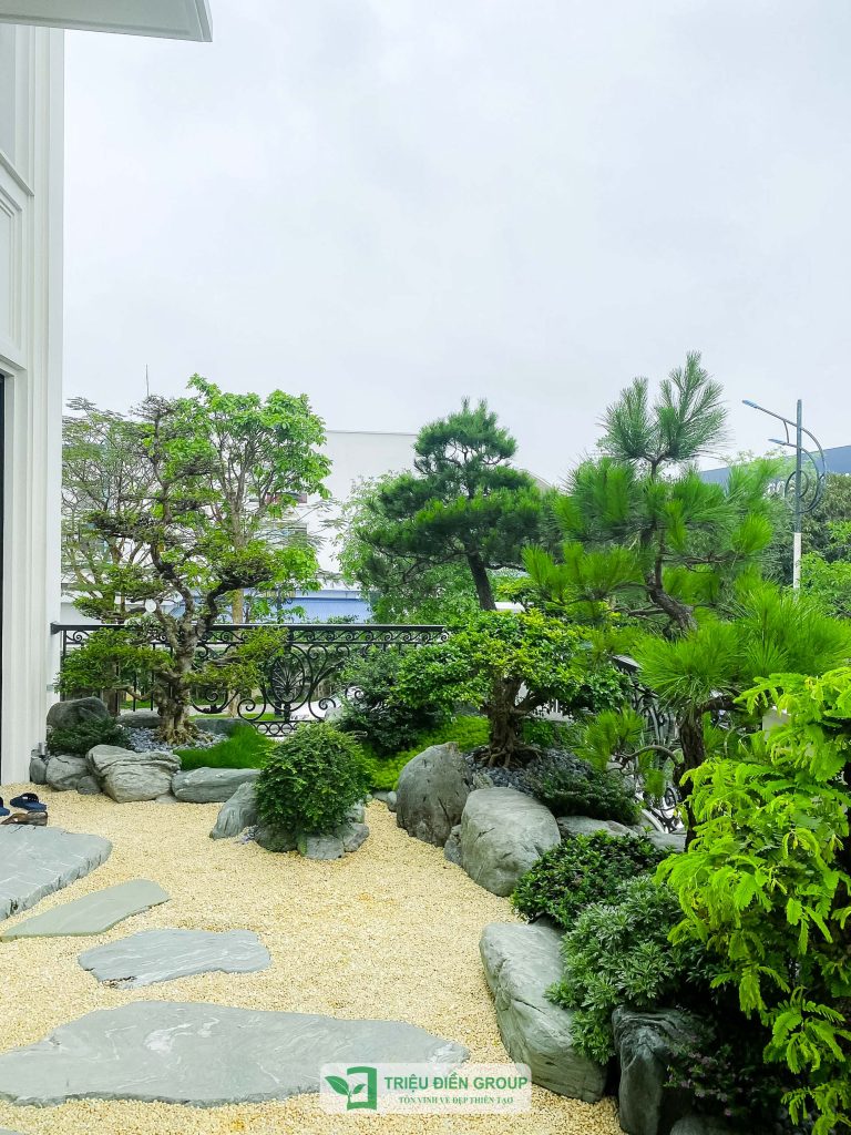 Thiết kế thi công sân vườn trọn gói tại hà nội
