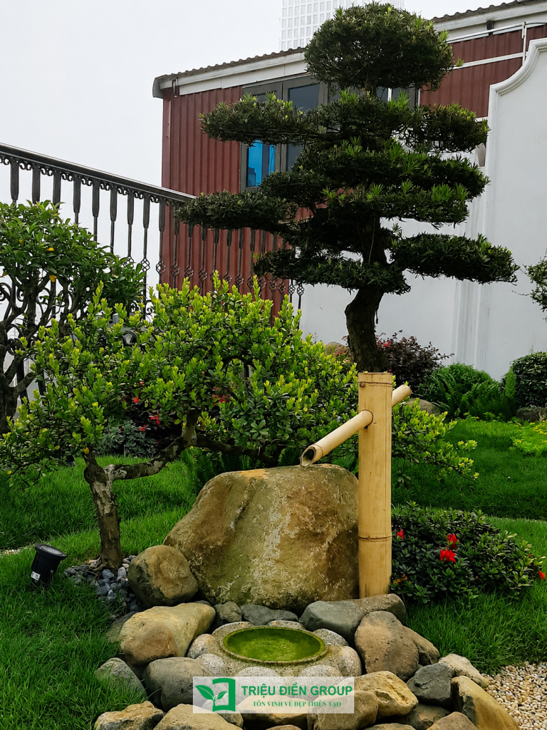 Thiết kế tiểu cảnh nước sân vườn biệt thự: 10 nguyên tắc quan trọng 5 Thiết kế thi công sân vườn trọn gói tại hà nội