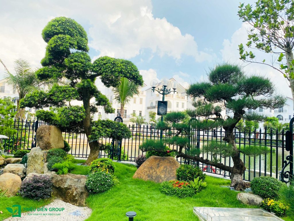 Mẫu sân vườn đẹp 2026 – Xu hướng thiết kế được ưa chuộng hiện nay 19 Thiết kế thi công sân vườn trọn gói tại hà nội