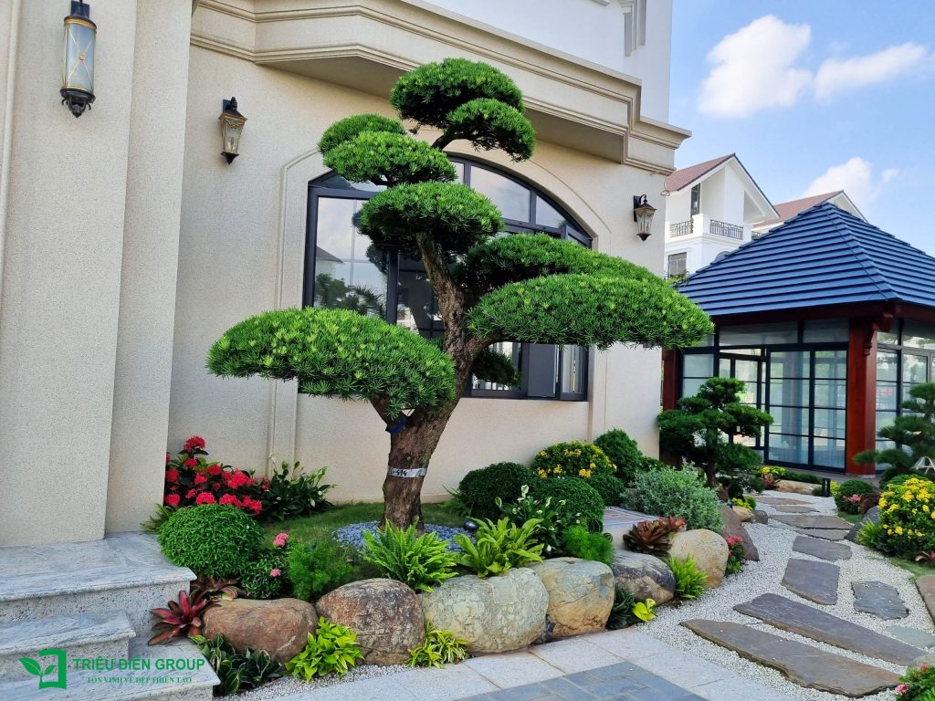 Mẫu sân vườn đẹp 2026 – Xu hướng thiết kế được ưa chuộng hiện nay 20 Thiết kế thi công sân vườn trọn gói tại hà nội