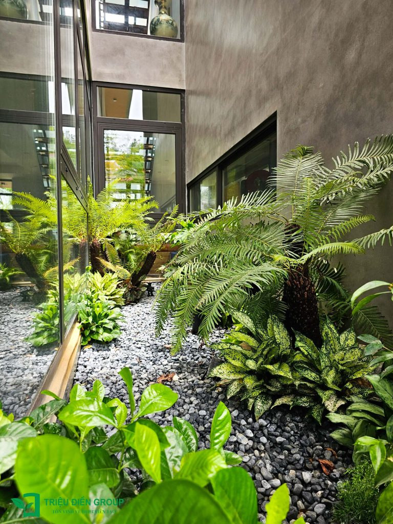 Thiết kế thi công sân vườn trọn gói tại hà nội