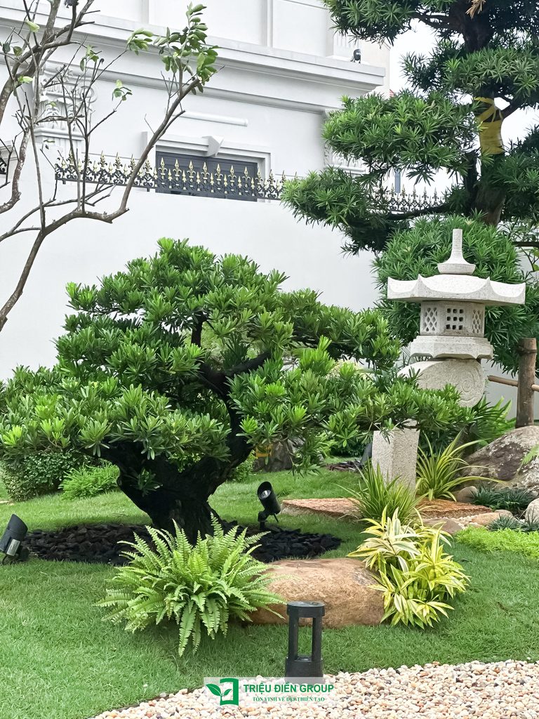 Thiết kế thi công sân vườn trọn gói tại hà nội