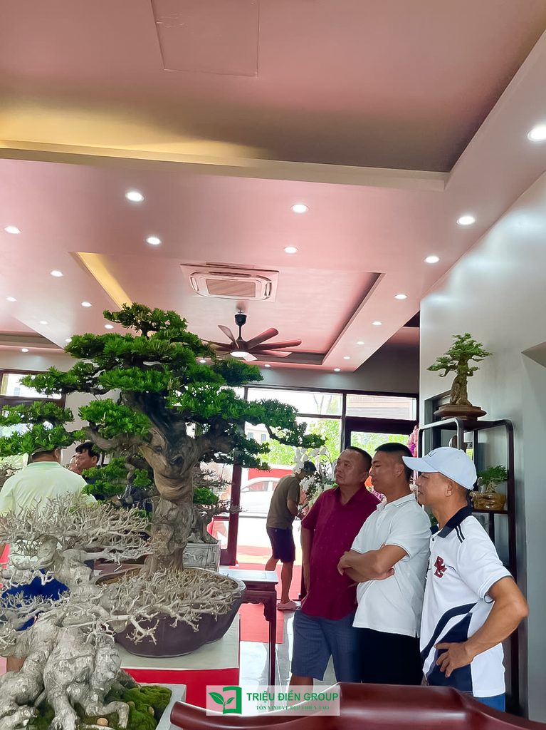 Triệu Điền Hải Phòng chính thức ra mắt – Mở ra một hành trình mới tại thành phố Cảng 17 Thiết kế thi công sân vườn trọn gói tại hà nội