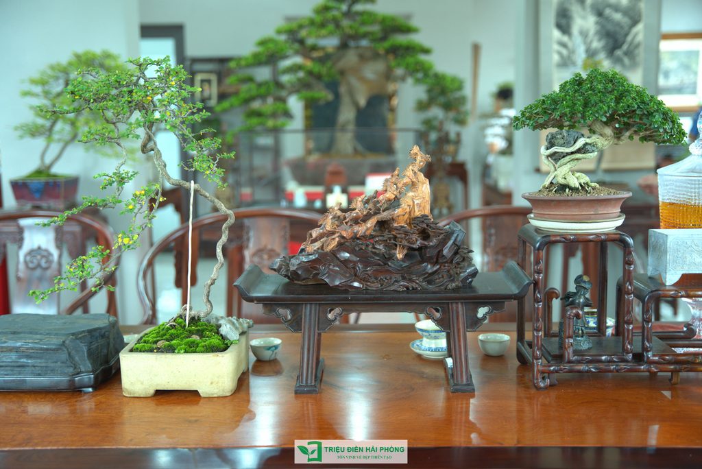 Triệu Điền Hải Phòng chính thức ra mắt – Mở ra một hành trình mới tại thành phố Cảng 19 Thiết kế thi công sân vườn trọn gói tại hà nội