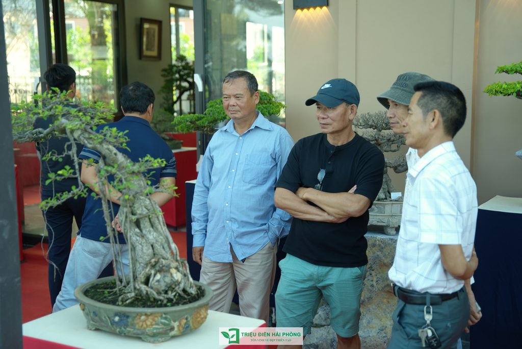 Triệu Điền Hải Phòng chính thức ra mắt – Mở ra một hành trình mới tại thành phố Cảng 12 Thiết kế thi công sân vườn trọn gói tại hà nội