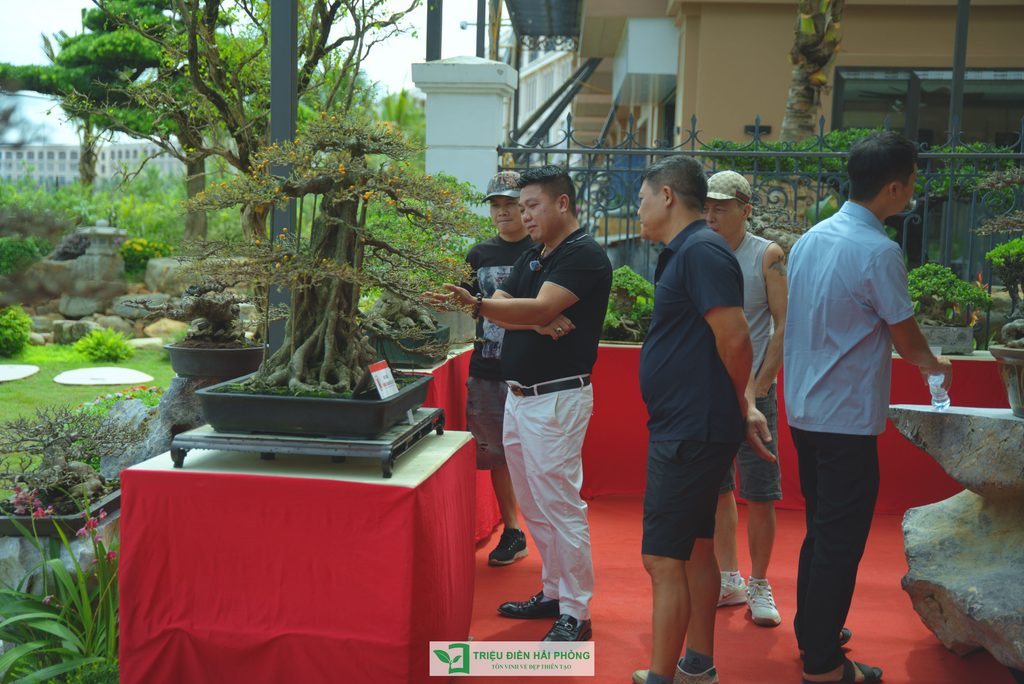 Triệu Điền Hải Phòng chính thức ra mắt – Mở ra một hành trình mới tại thành phố Cảng 13 Thiết kế thi công sân vườn trọn gói tại hà nội