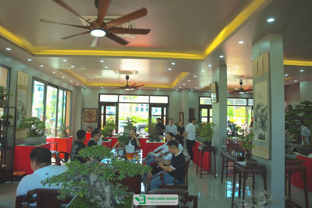 Triệu Điền Hải Phòng chính thức ra mắt – Mở ra một hành trình mới tại thành phố Cảng 6 Thiết kế thi công sân vườn trọn gói tại hà nội