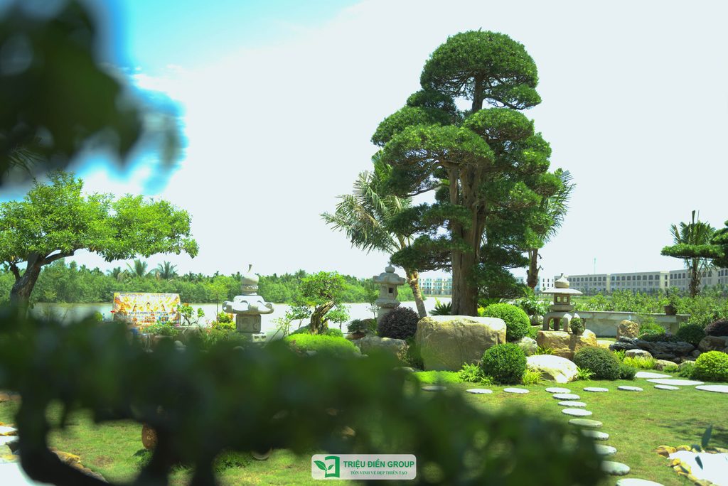 Triệu Điền Hải Phòng chính thức ra mắt – Mở ra một hành trình mới tại thành phố Cảng 14 Thiết kế thi công sân vườn trọn gói tại hà nội