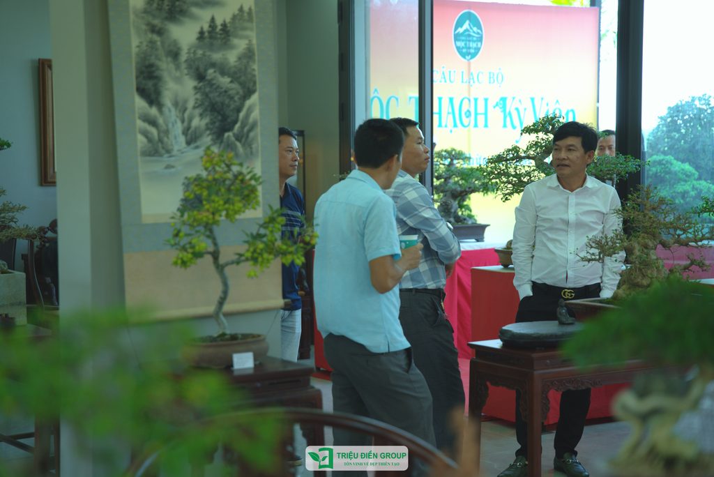 Triệu Điền Hải Phòng chính thức ra mắt – Mở ra một hành trình mới tại thành phố Cảng 23 Thiết kế thi công sân vườn trọn gói tại hà nội
