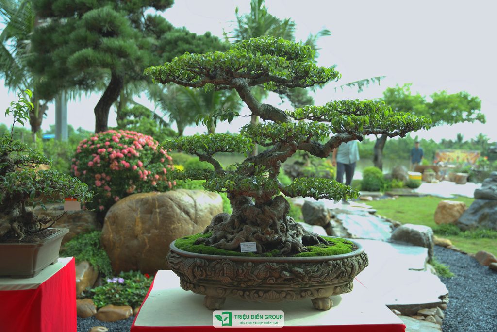 Triệu Điền Hải Phòng chính thức ra mắt – Mở ra một hành trình mới tại thành phố Cảng 26 Thiết kế thi công sân vườn trọn gói tại hà nội