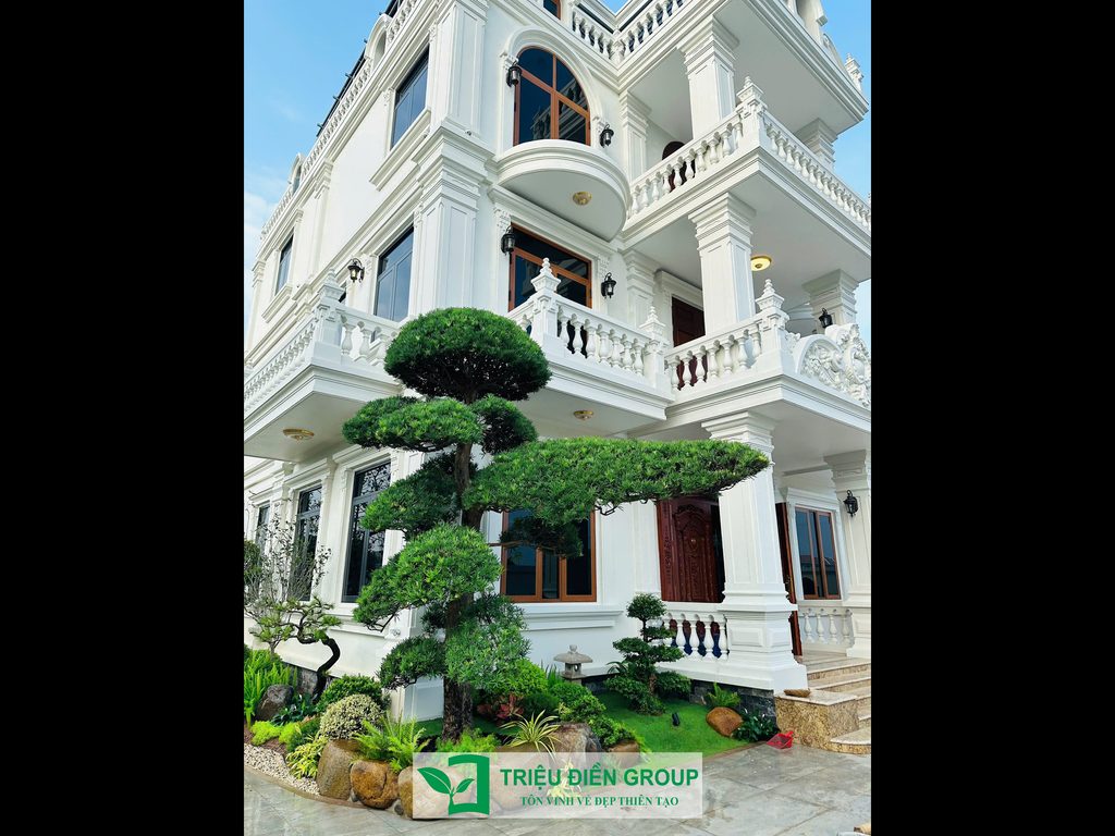Thiết kế thi công sân vườn trọn gói tại hà nội