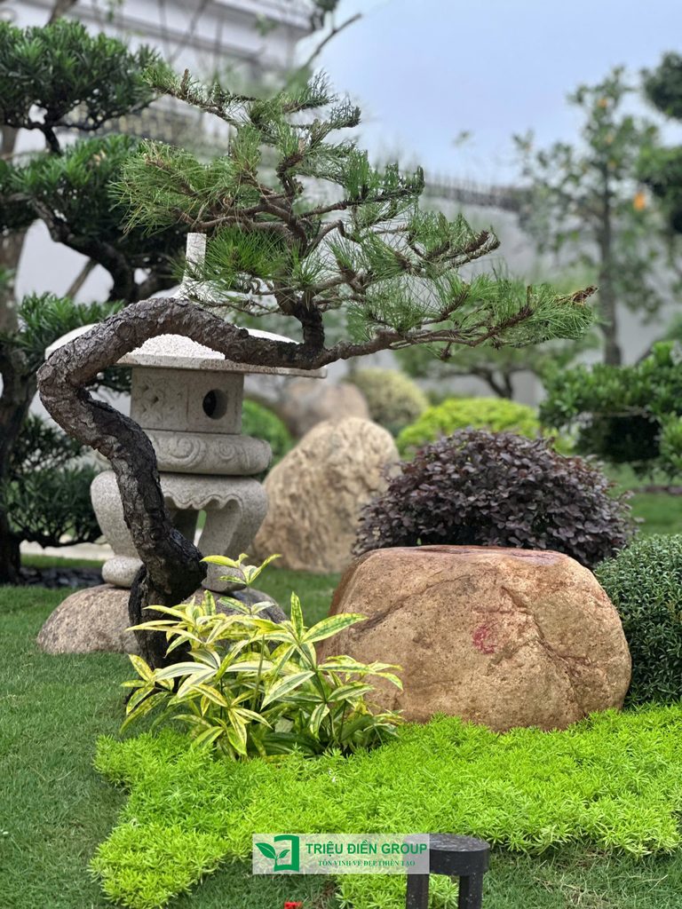 Thiết kế thi công sân vườn trọn gói tại hà nội