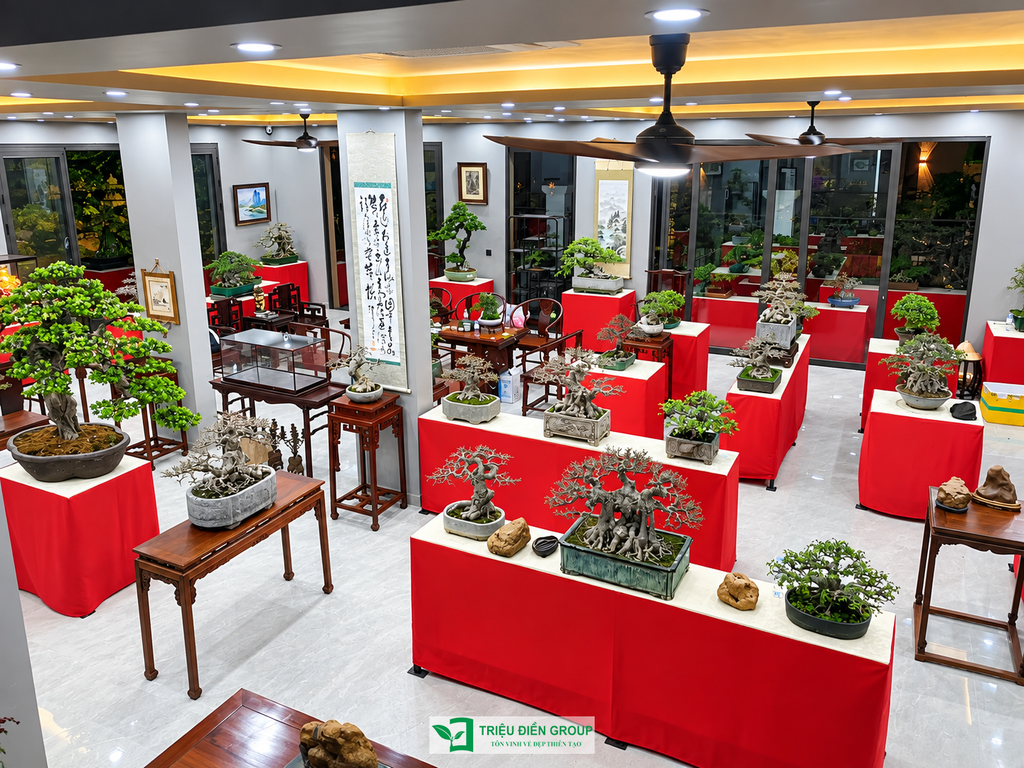 Triệu Điền Hải Phòng chính thức ra mắt – Mở ra một hành trình mới tại thành phố Cảng 4 Thiết kế thi công sân vườn trọn gói tại hà nội