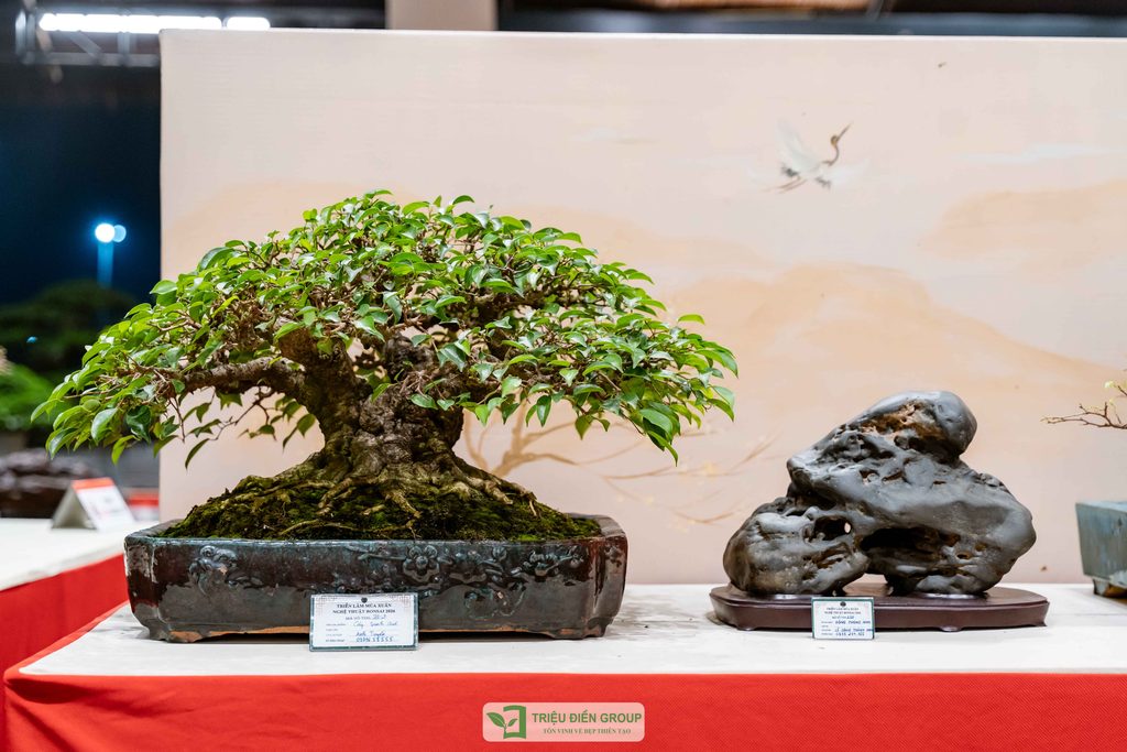 Thiết kế thi công sân vườn trọn gói tại hà nội