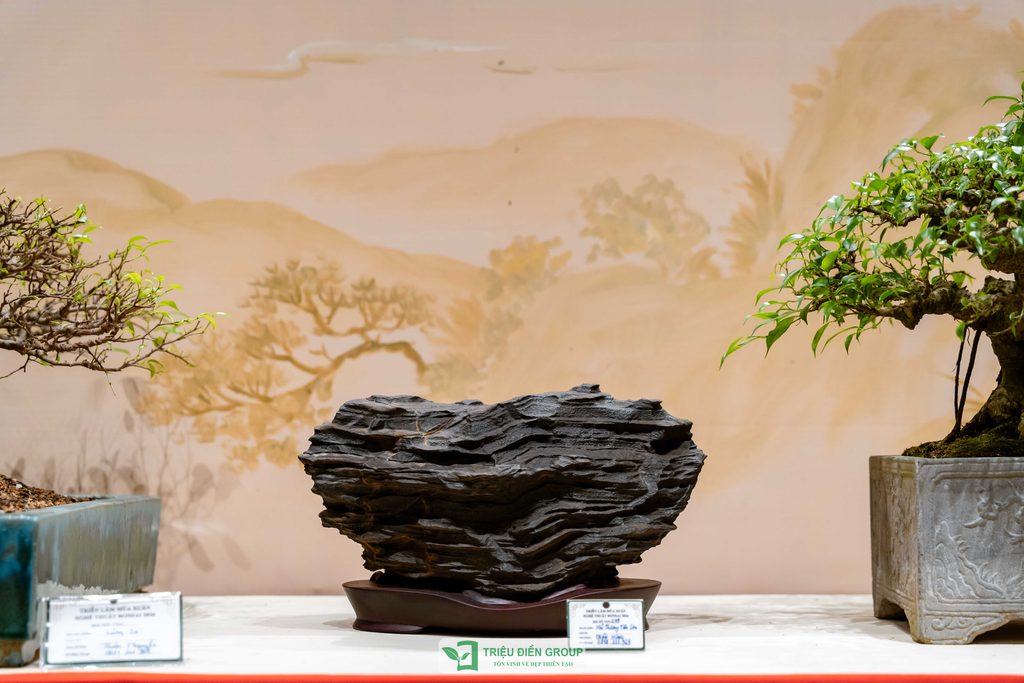Thiết kế thi công sân vườn trọn gói tại hà nội