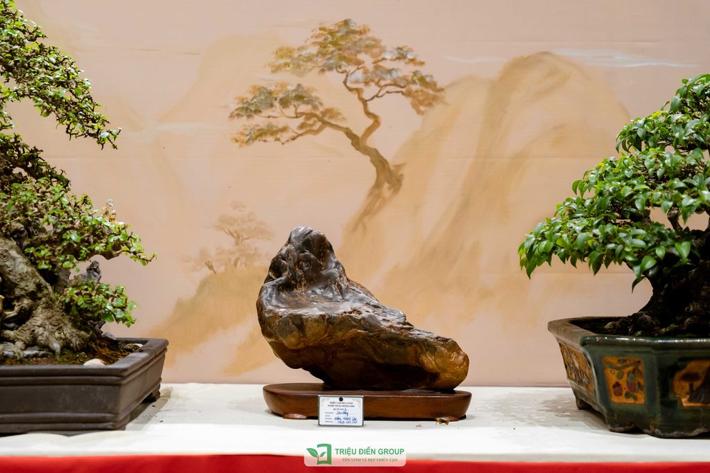 Thiết kế thi công sân vườn trọn gói tại hà nội