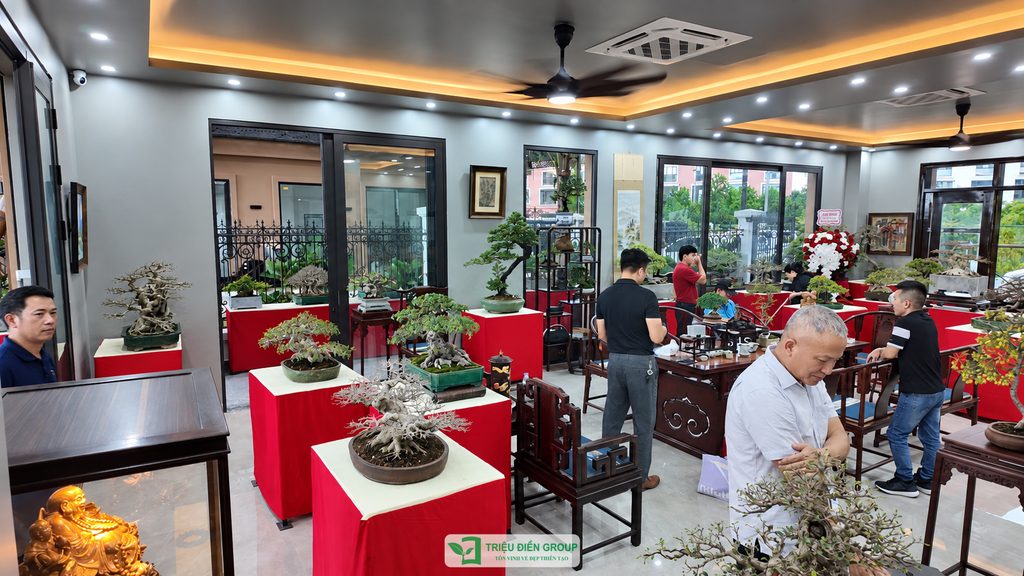 Triệu Điền Hải Phòng chính thức ra mắt – Mở ra một hành trình mới tại thành phố Cảng 5 Thiết kế thi công sân vườn trọn gói tại hà nội