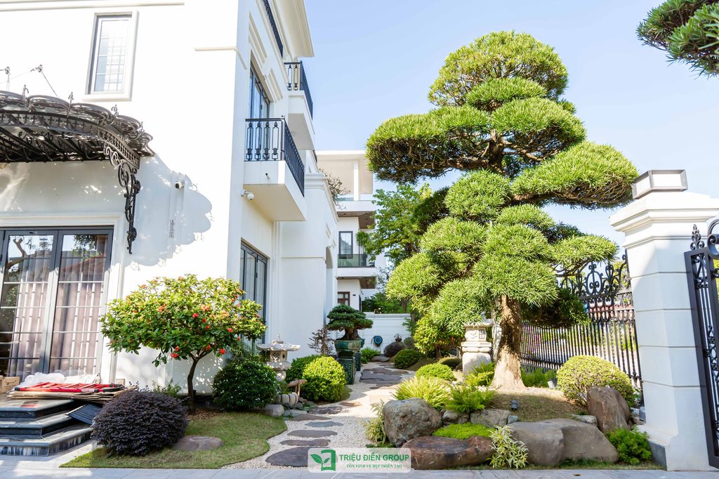 Thiết kế và thi công sân vườn tại Bắc Ninh – Kiến tạo cảnh quan đẳng cấp 9 Thiết kế thi công sân vườn trọn gói tại hà nội