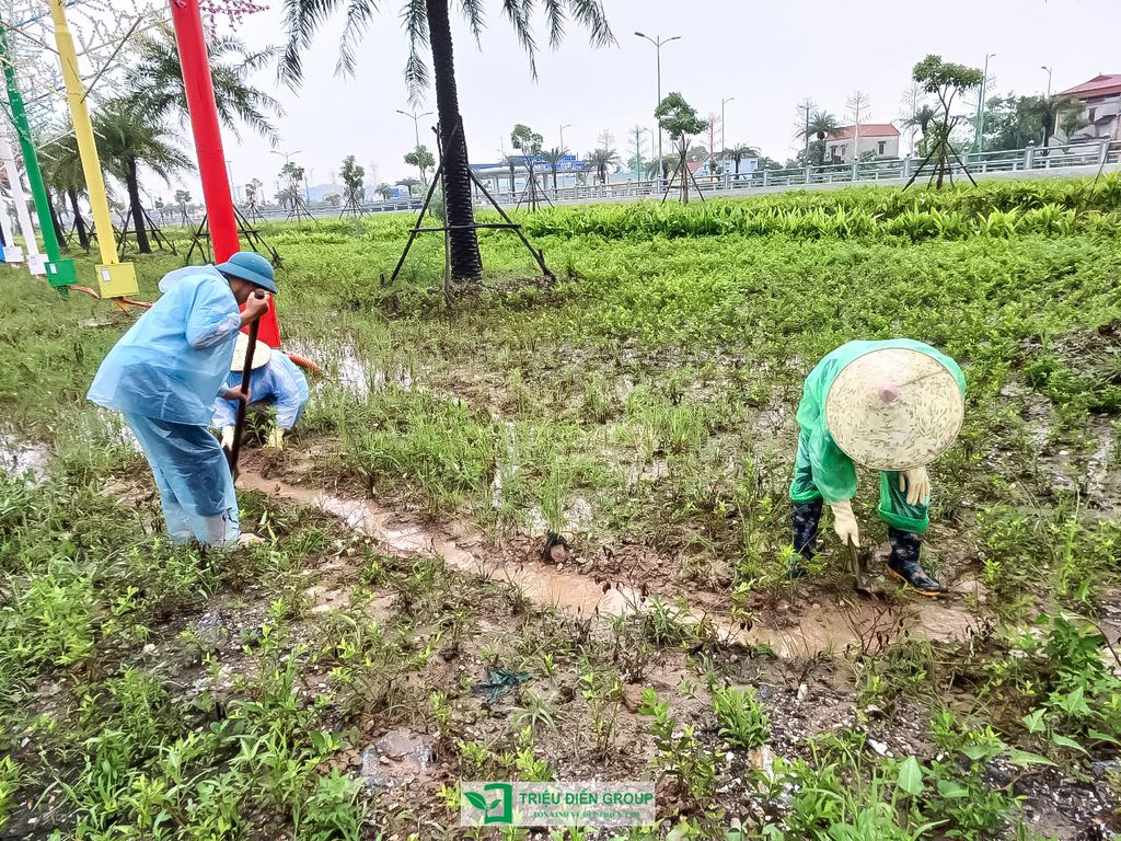 Thiết kế và thi công cảnh quan đô thị – Kiến tạo diện mạo xanh cho không gian sống 6 Thiết kế thi công sân vườn trọn gói tại hà nội
