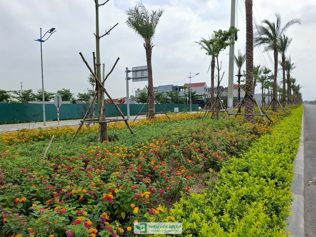 Thiết kế và thi công cảnh quan đô thị – Kiến tạo diện mạo xanh cho không gian sống 18 Thiết kế thi công sân vườn trọn gói tại hà nội